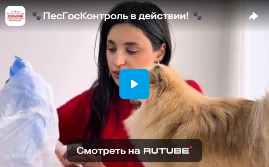 ПесГосКонтроль в действии!