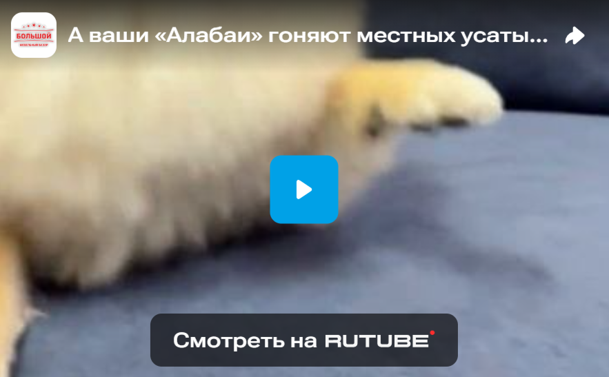 А ваши «Алабаи» гоняют местных усатых?
