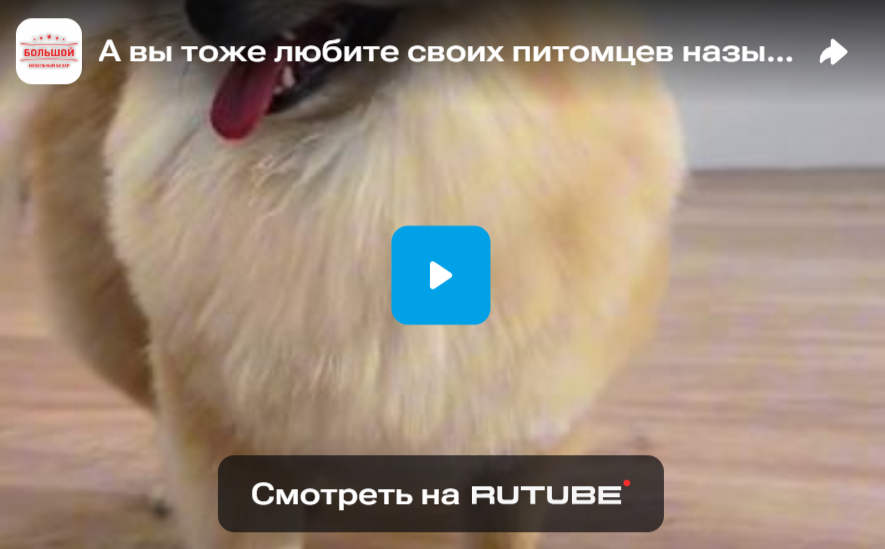 А вы тоже любите своих питомцев называть всеми милыми словами?
