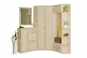 Прихожая Карина 8 ясень белый 176х222