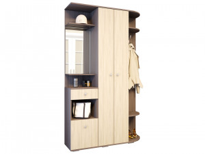 Прихожая Виза ясень шимо