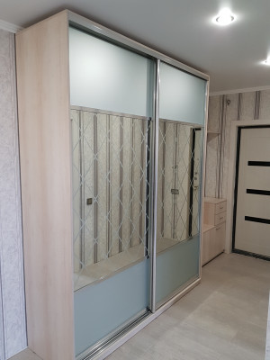 Шкаф-купе 2-хстворчатый распошной на заказ 290х60х250