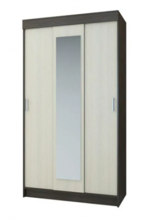 Шкаф-купе Эко дуб венге 120х56х220