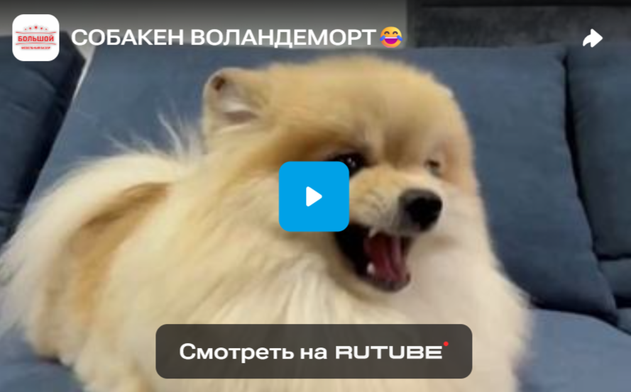 СОБАКЕН ВОЛАНДЕМОРТ