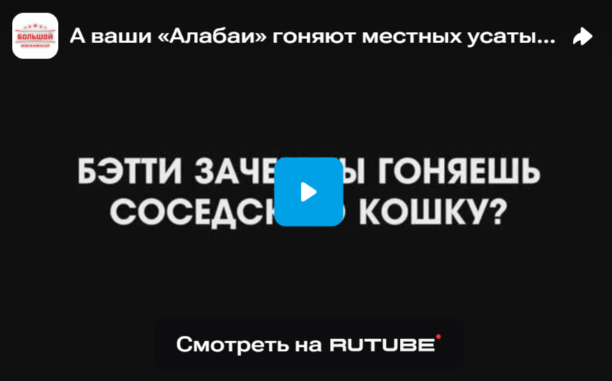 А ваши «Алабаи» гоняют местных усатых?