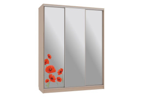 Шкаф-купе Бассо 4-600 маки