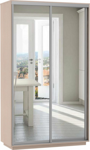 Шкаф-купе 2-х створчатый Экспресс  зеркало 120х60х240