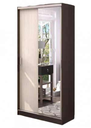 Шкаф-купе 2-х створчатый распошной Альянс 100х60х220