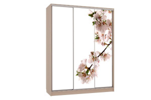 Шкаф-купе Бассо 7-600 яблоня