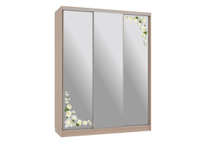 Шкаф-купе Бассо 4-600 розы