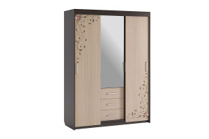 Шкаф-купе Рио 1-600 бабочки