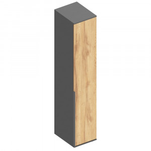 Пенал распашной 1-створчатый с полками Стил дуб золотистый/серый ЛОФТ 40х50х210