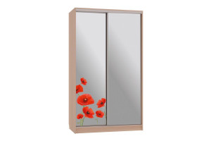 Шкаф-купе Рио 4-600 маки