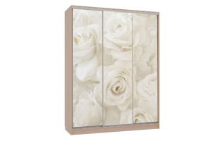 Шкаф-купе Бассо 7-600 розы