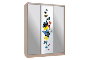 Шкаф-купе Бассо 9-600 89