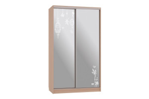 Шкаф-купе Рио 4-600 птицы