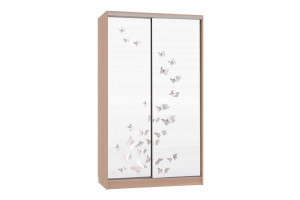 Шкаф-купе Рио 7-600 18