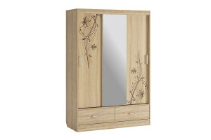 Шкаф-купе Рио 1-600 бабочки