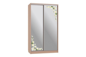 Шкаф-купе Рио 4-600 розы