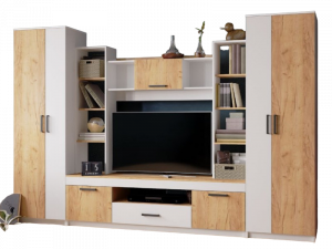 Гостиная Сидней  дуб крафт золотой 300х47х200