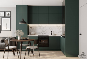 Кухня угловая 260х480