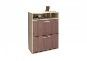 Обувница Дели-1