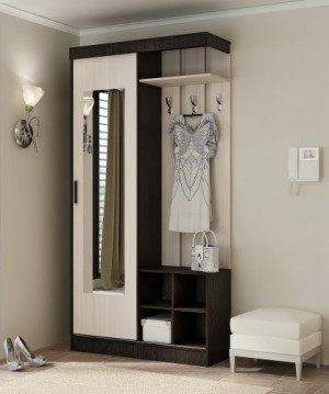 Прихожая купе Бриз