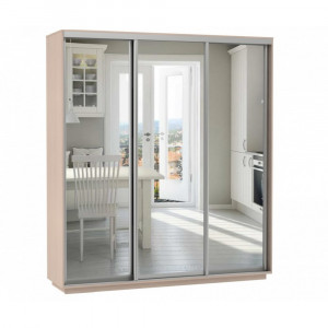 Шкаф-купе 3-х створчатый распошной Рамир  240х60х240