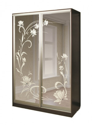 Шкаф-купе 2-х створчатый распошной  Рамир с пескоструйным рисунком 140х60х220