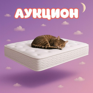 Настало время испытать удачу!