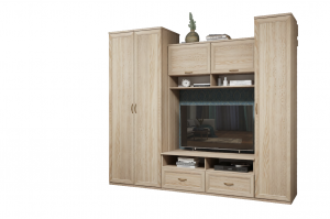 Модульная гостиная Классика комплектация 003 дуб сонома 240х55х213